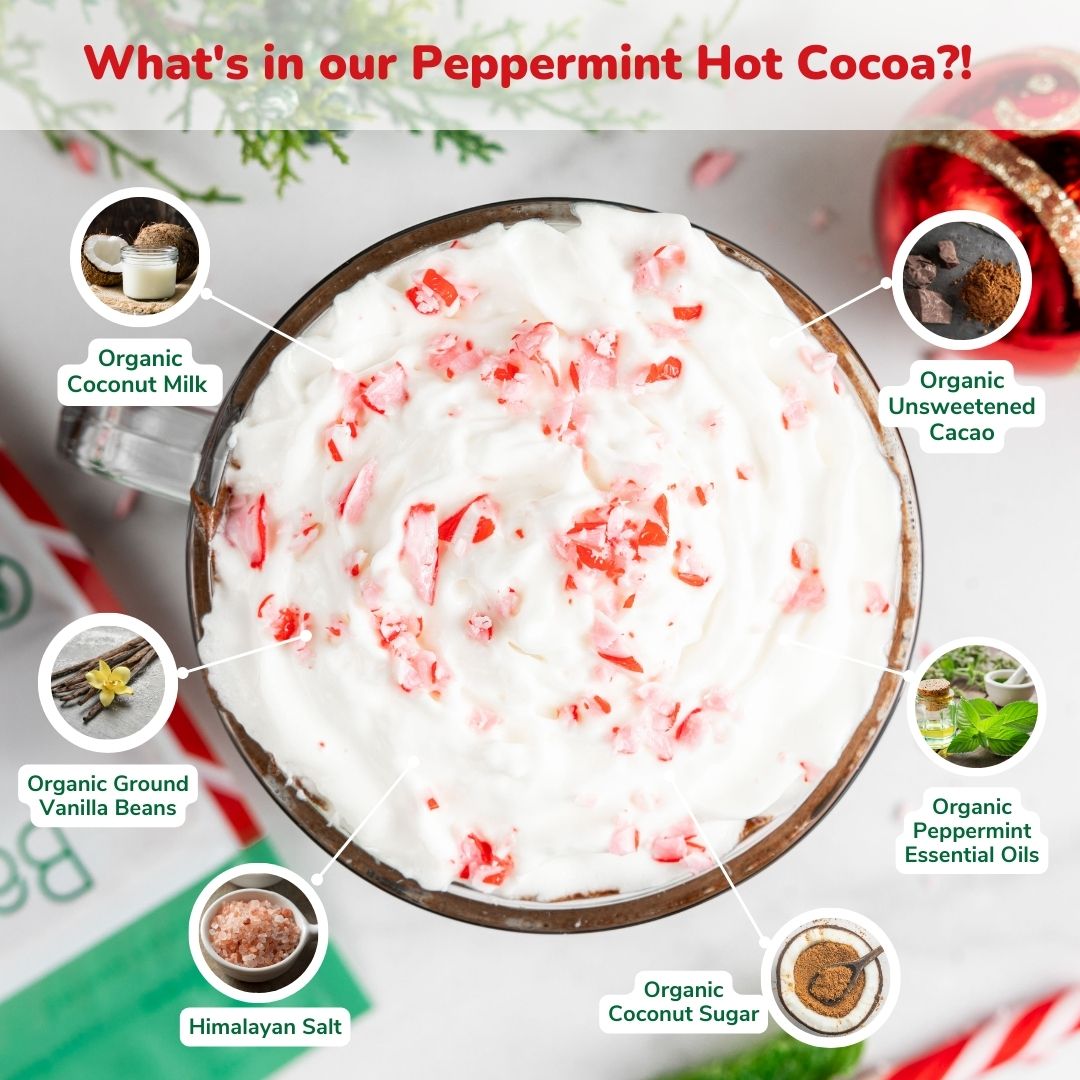 Instant Dairy Free Peppermint Hot Cocoa Mix  |  20 Pack Single Serving | Gluten Free, Vegan and Organic